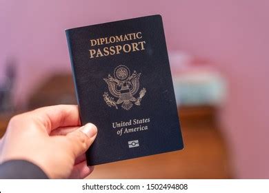 1,931 Diplomatic passport 图片、库存照片和矢量图 | Shutterstock