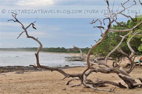 Recommended Destination: Playa Avellanas, Costa Rica – DIY Costa Rica