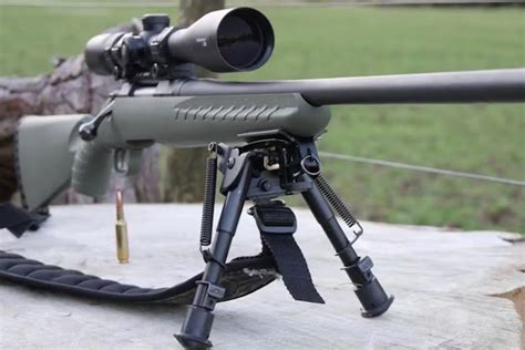 Ruger American Predator Rifle: Taking a Closer Look