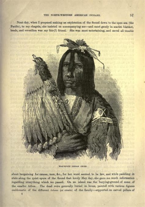 Pin by Tiffany Weaver- Indigo Tribe C on Ourstory | American history facts, Indigenous north ...