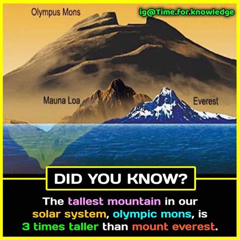 Pin on Facts | Interesting science facts, Unbelievable facts, Interesting facts about world