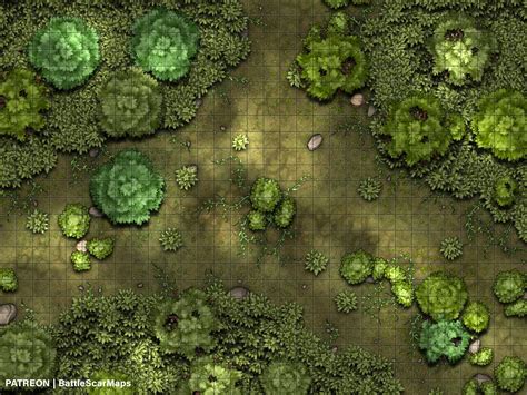 Forest Clearing Battle Map Dnd Battle Map D&D Battlemap - Etsy ...