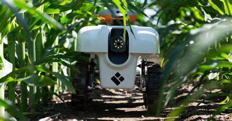 A Growing Presence on the Farm: Robots : farming