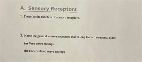 Solved 1. Describe the function of sensory receptors. 2. | Chegg.com