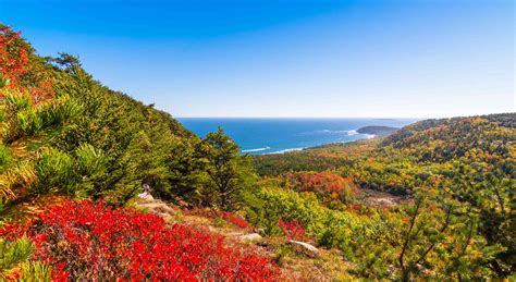 Leaf Peeping Along the Maine Coast