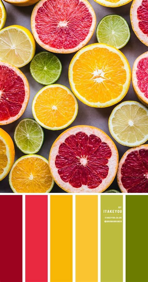 Citrus Color Scheme – Color Palette #28 | Color palette bright, Color ...