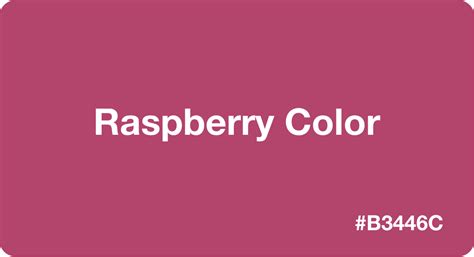 Raspberry Color HEX Code #b3446c