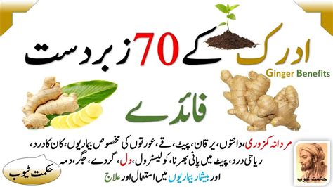 Adrak Juice Benefits In Hindi - health benefits