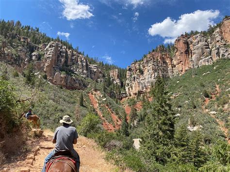 Grand Canyon North Rim Mule Rides -Tour (Tropic) - All You Need to Know ...