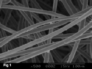 Scanning electron micrograph of virgin silk fibre | Download Scientific Diagram