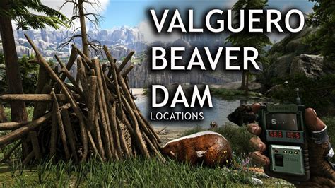 Beaver Dam Locations on Valguero Map: Ark Survival Evolved Castoroides - YouTube