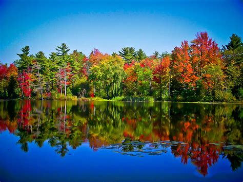 Trees in Peak Fall Colors Reflected on a Blue Lake Photograph by ...