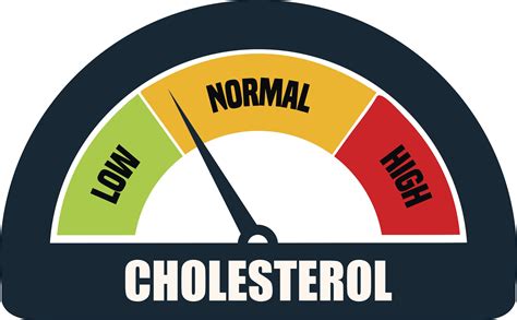 Cholesterol numbers are in! Here’s what you should know. - HCA Healthcare Today