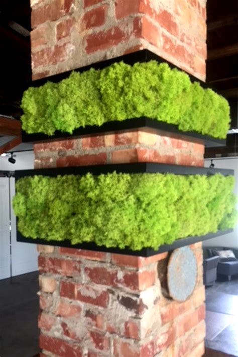 Air Purifying Plants & Sound Absorbing Moss Tiles Kansas City | Framed plants, Moss wall art ...