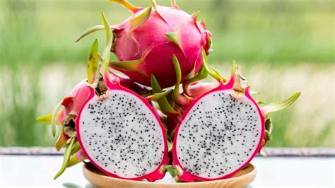 Pitaya Tree