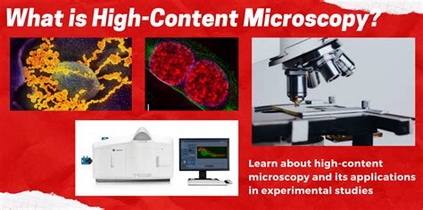 What is High-Content Microscopy? – BIT 479/579 High-throughput Discovery