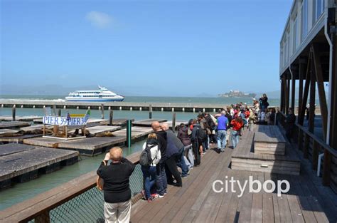 10 BEST Things at Aquarium of the Bay - CityBOP