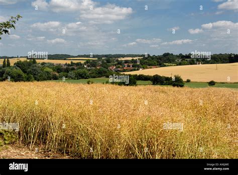 Hertfordshire countryside hi-res stock photography and images - Alamy