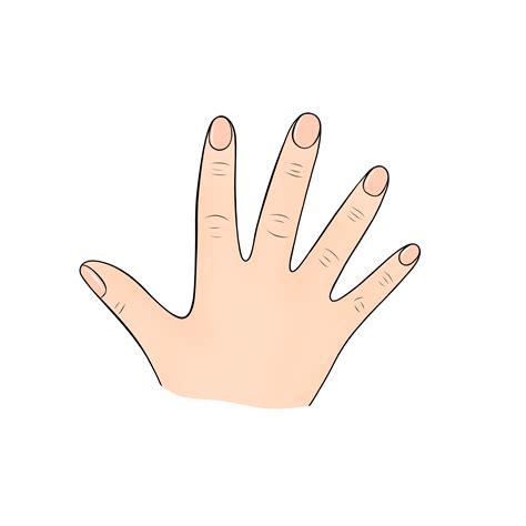 finger human body part cartoon illustration 23208848 PNG