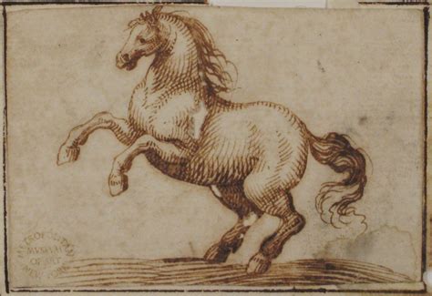 attributed to Francesco Allegrini | Horse | The Metropolitan Museum of Art