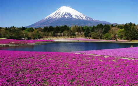 Japan Scenery Wallpapers - Top Free Japan Scenery Backgrounds - WallpaperAccess