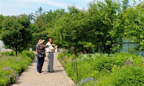 Entry Garden Walk - Toronto Botanical GardenToronto Botanical Garden