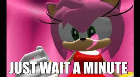 Amy Rose Just Wait A Minute Amy GIF – Amy Rose Just Wait A Minute Amy ...