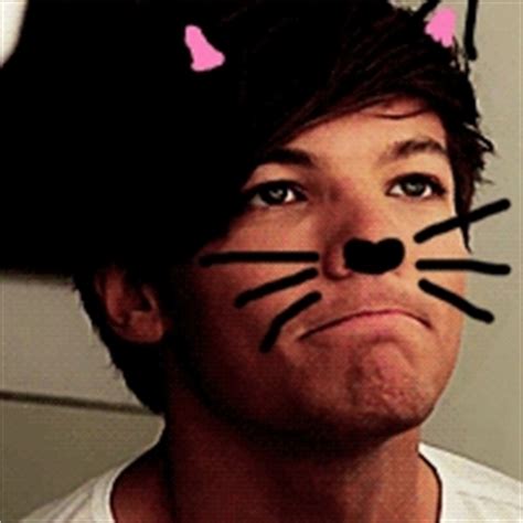 Louis Cat Icons - Louis Tomlinson Icon (31976282) - Fanpop