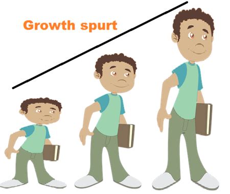 Growth Spurt in Puberty | Signs & Symptoms - Lesson | Study.com