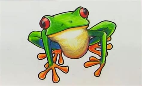 How To Draw a Frog: 10 Easy Drawing Projects