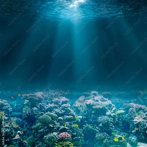 Sea or ocean seabed with coral reef. Underwater view. Stock Photo ...