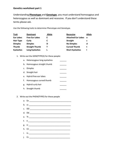 Genetics Worksheet Answers Key – Zip Worksheet