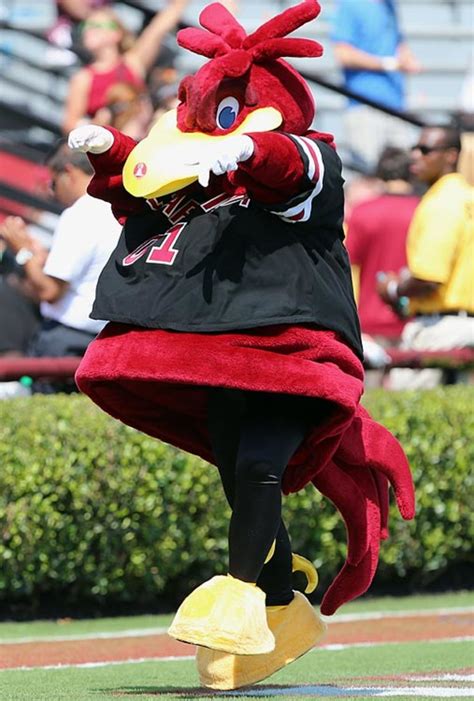 The 25 Best Mascots in College Football - Sports Illustrated