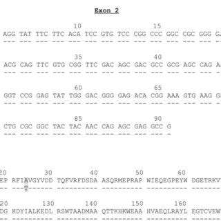 (A) From exon 1 to exon 7 the DNA sequence of A*02:570:01 is identical... | Download Scientific ...