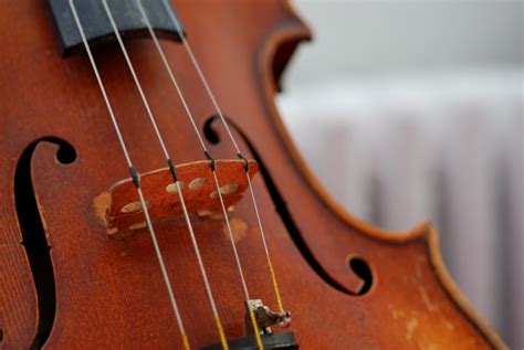 The Best Violin Strings | Notestem