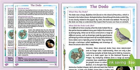 KS2 Dodo Fact File - Learn about how the dodo became extinct