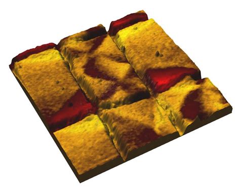 Magnetic structures of permalloy