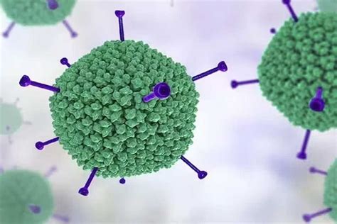 Adenovirus: NCPCR की टीम पहुंची पश्चिम बंगाल के अस्पतालों में, जहां बच्चों की मौत से हड़कंप मच ...