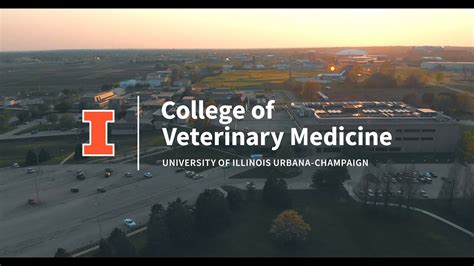 Virtually Visit the University of Illinois College of Veterinary ...