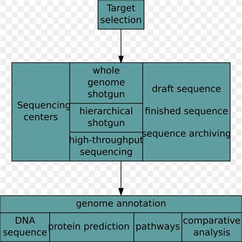 Nucleic Acid Sequence Whole Genome Sequencing DNA Sequencing, PNG, 1920x1924px, Nucleic Acid ...