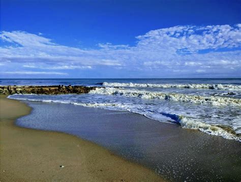 Edisto Island State Park - South Carolina Lowcountry