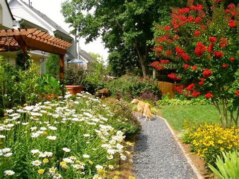 Dog-Friendly Garden Design | HGTV