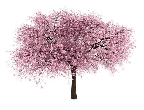 landscape clipart tree png 20 free Cliparts | Download images on Clipground 2024