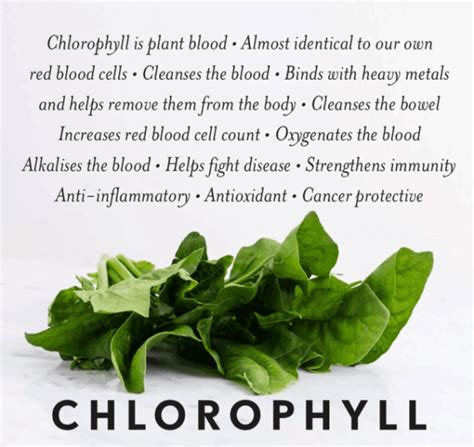 Benefits of Chlorophyll | Miracles of Health