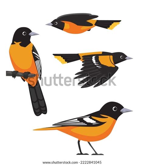 111 Baltimore Oriole Vector Images, Stock Photos & Vectors | Shutterstock