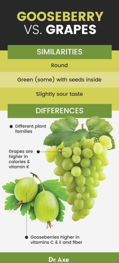 Indian Gooseberry Benefits, Nutrition, Recipes and Side Effects - Dr. Axe