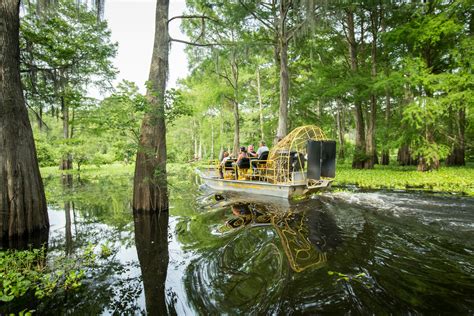 Cajun Encounters Swamp Tour Pick Up New Orleans Swamp Tours Livery ...