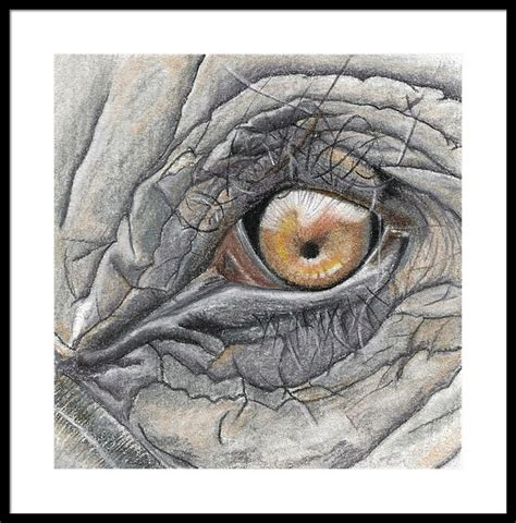 Elephant Eye Drawing at PaintingValley.com | Explore collection of ...