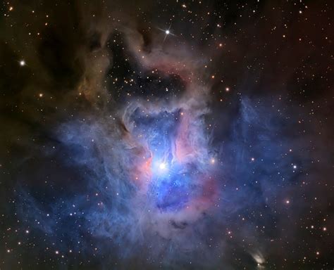 The Iris Nebula, a bright reflection nebula | Anne’s Astronomy News