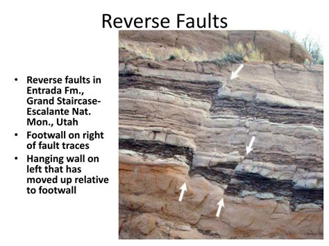 PPT - Structural Geology Stress and Strain PowerPoint Presentation, free download - ID:5572554